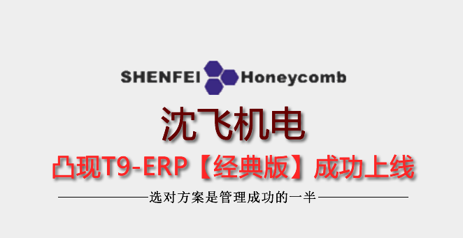 宝应县沈飞机电有限公司签约凸现T9-ERP机械行业专版
